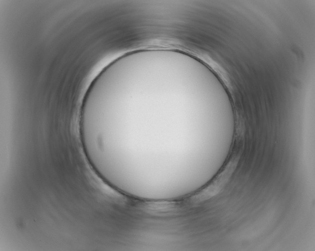 X0000112391486200909032003