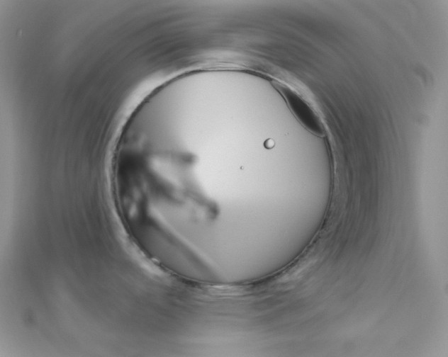 X0000112391488200909032003