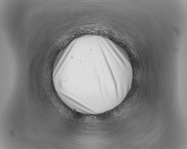 X0000112391489200909032002