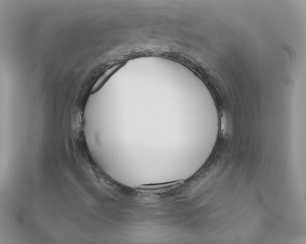 X0000112391492200909032002