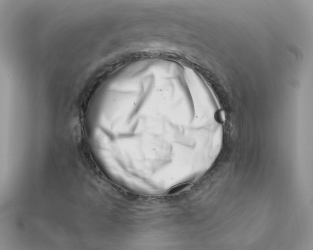 X0000112391493200909032002