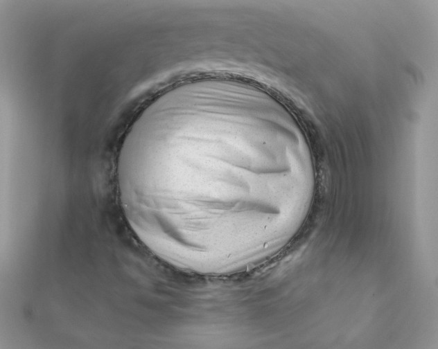 X0000112391494200909032002