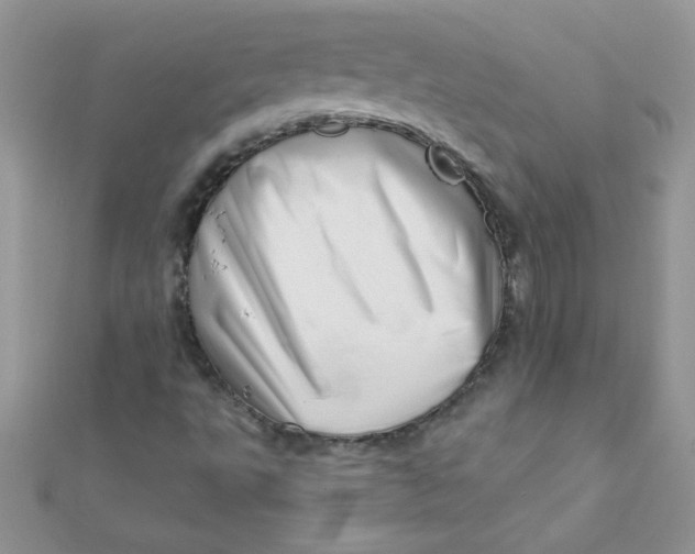 X0000112391495200909032003