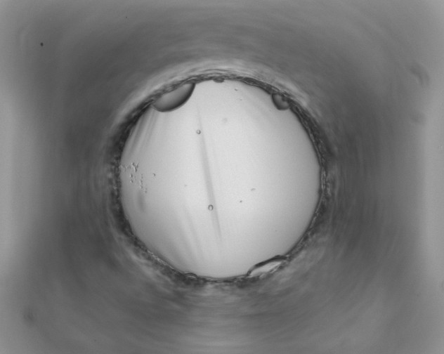 X0000112391496200909032003