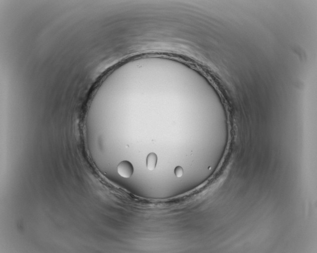 X0000112391497200909032003