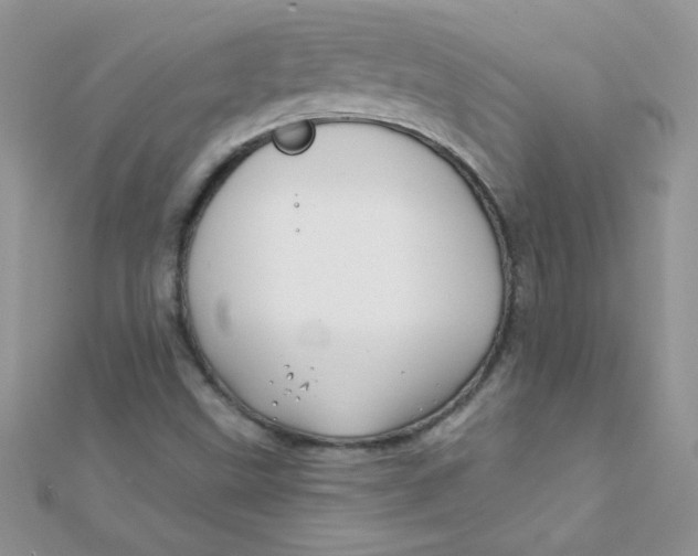 X0000112391499200909032003