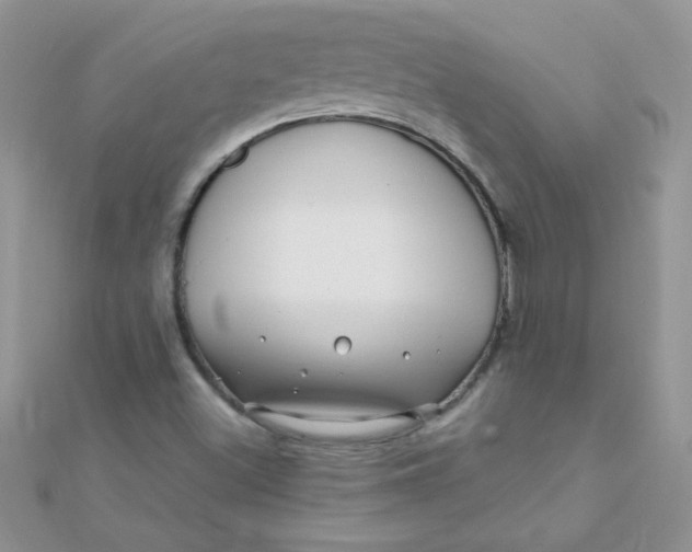 X0000112391500200909032003