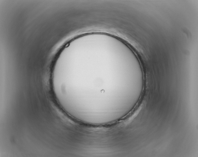 X0000112391502200909032003