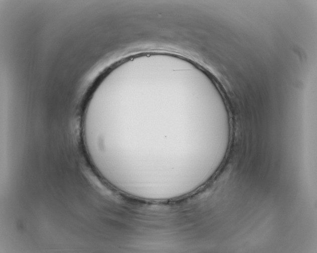 X0000112391503200909032003