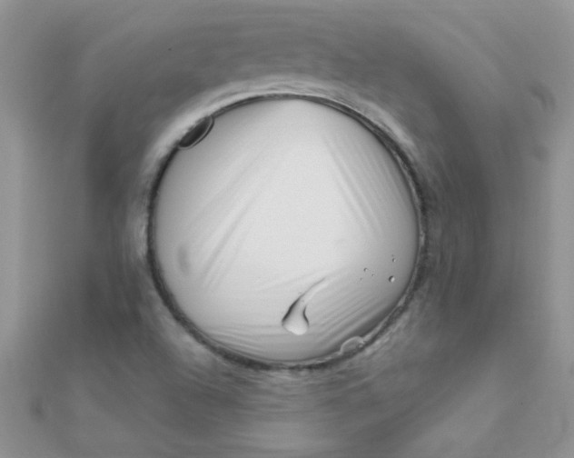 X0000112391504200909032003