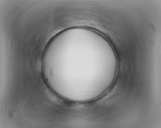 X0000112391505200909032003