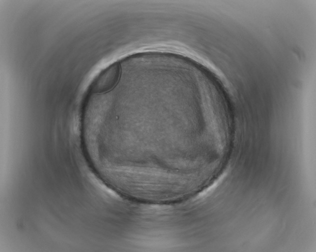 X0000112391506200909032003