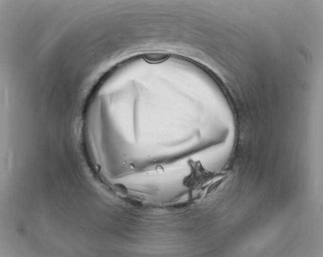 X0000112391507200909032003