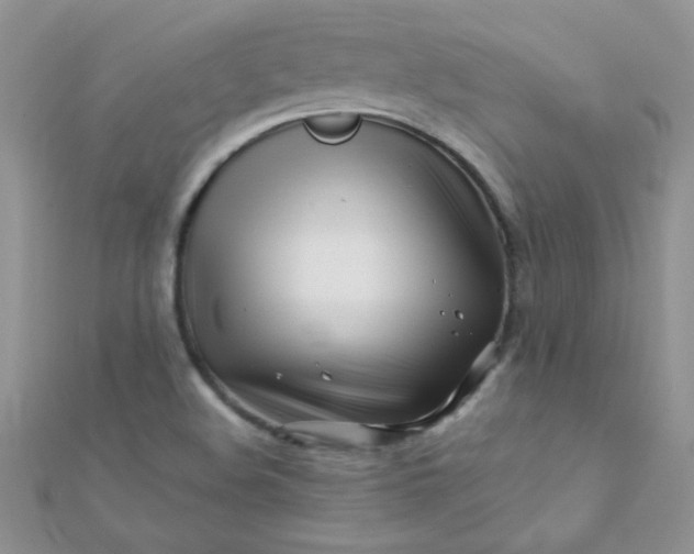 X0000112391508200909032003