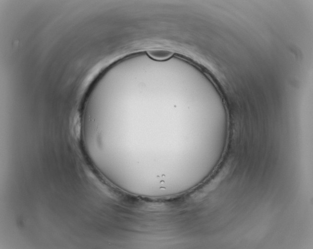 X0000112391509200909032003