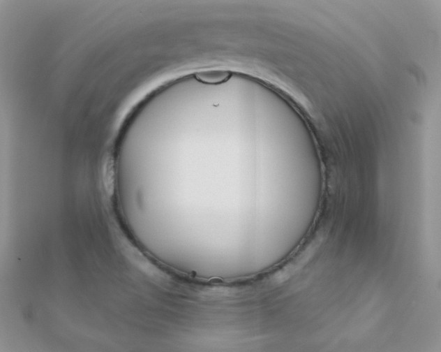 X0000112391510200909032003