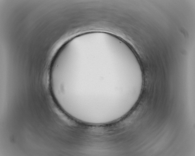 X0000112391511200909032003