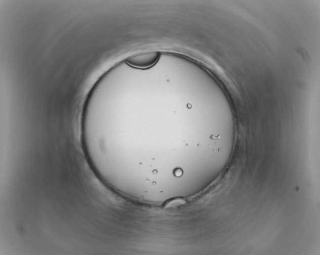 X0000112391512200909032003