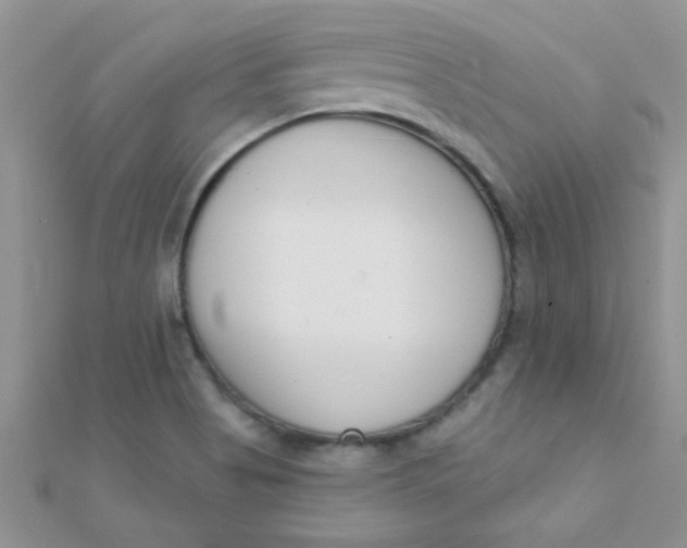 X0000112391513200909032003