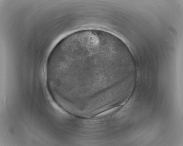 X0000112391515200909032003