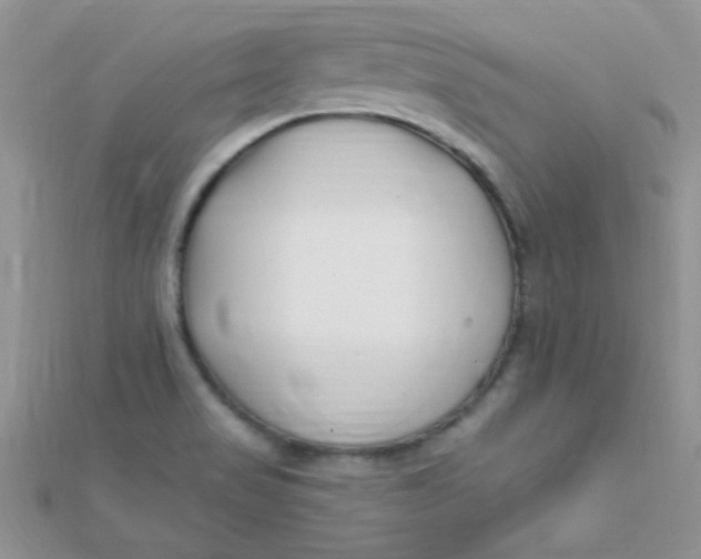 X0000112391517200909032003