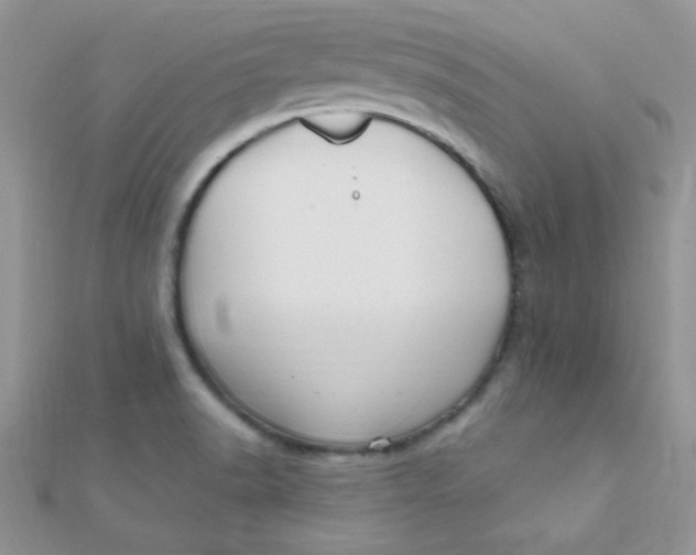 X0000112391518200909032003