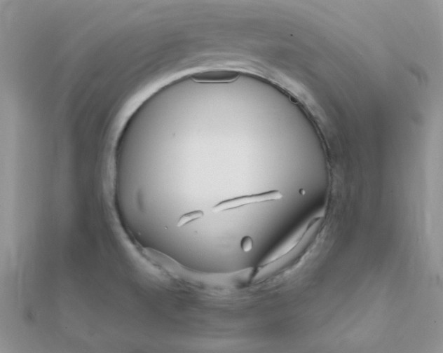 X0000112391520200909032003