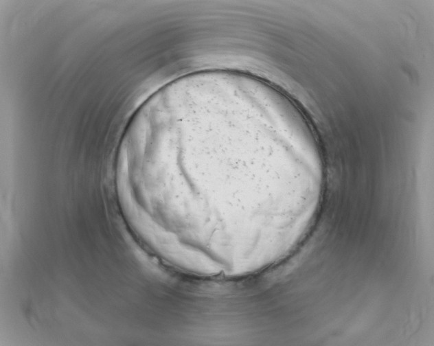 X0000112391521200909032003