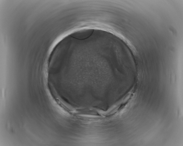 X0000112391522200909032003