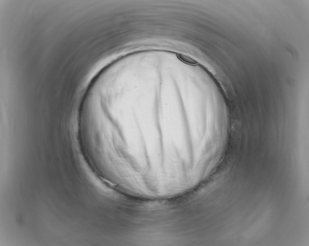 X0000112391523200909032003