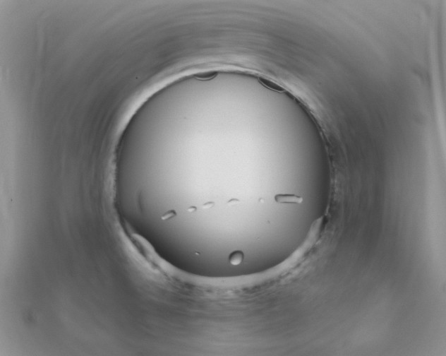 X0000112391524200909032003