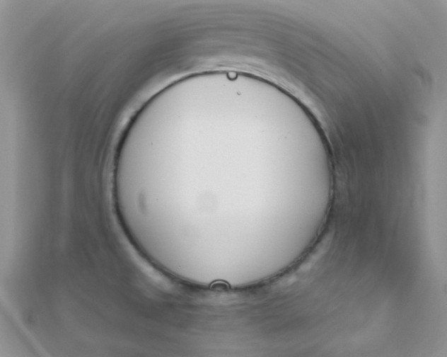 X0000112391525200909032003