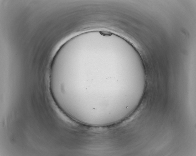 X0000112391526200909032003