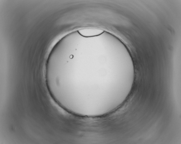 X0000112391527200909032003