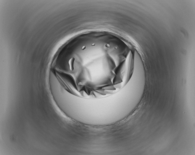 X0000112391528200909032003