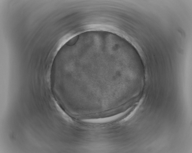 X0000112391529200909032003