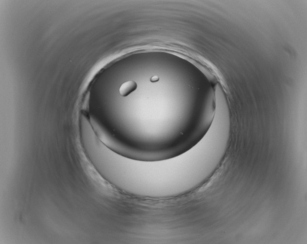 X0000112391530200909032003