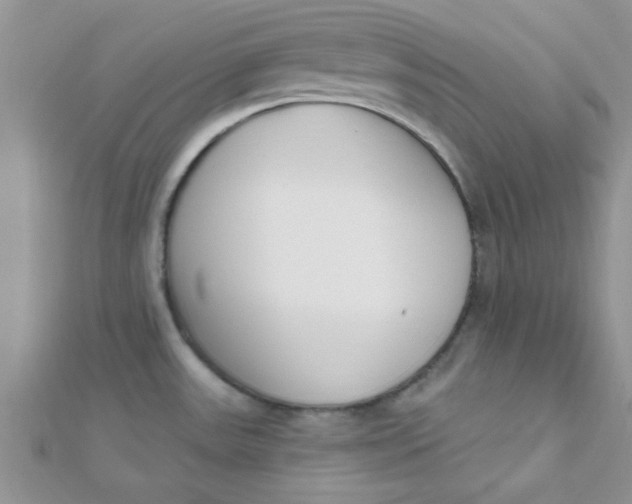 X0000112391531200909032003