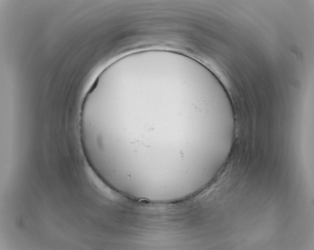 X0000112391532200909032003