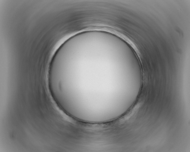 X0000112391533200909032003