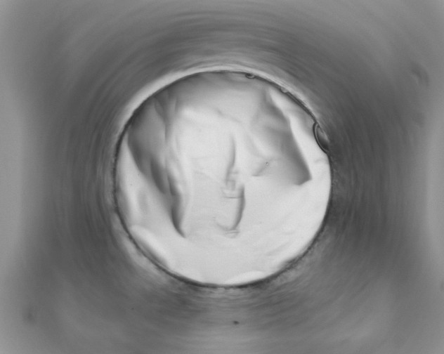 X0000112391534200909032003