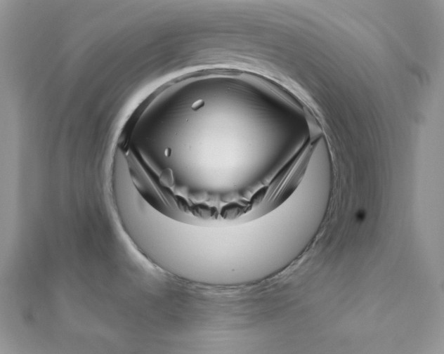 X0000112391536200909032003