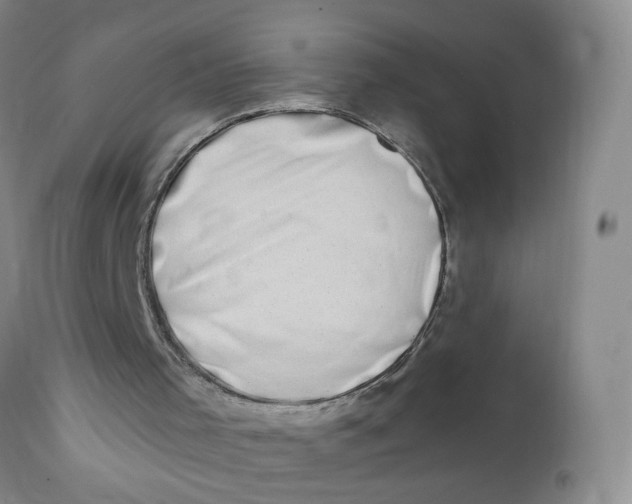 X0000112390001200909101422