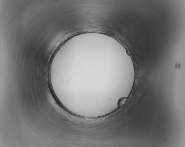 X0000112390002200909101422