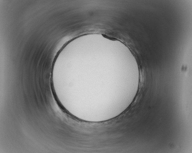 X0000112390003200909101422