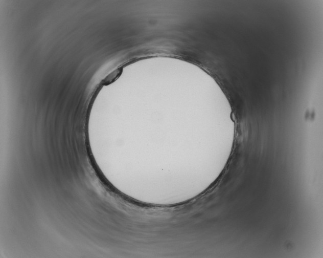 X0000112390004200909101422