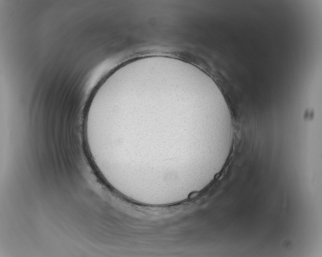 X0000112390006200909101422