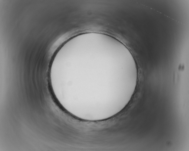 X0000112390007200909101422