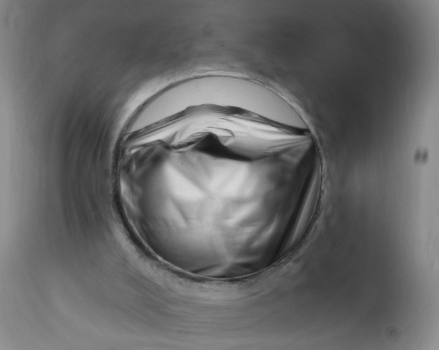 X0000112390008200909101422