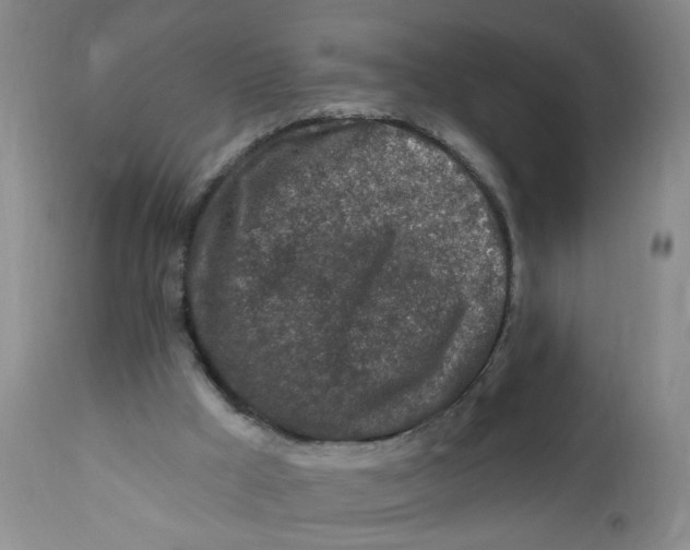 X0000112390009200909101422